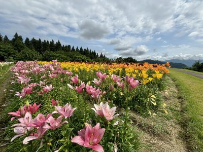 2024.7.2月岡ユリ