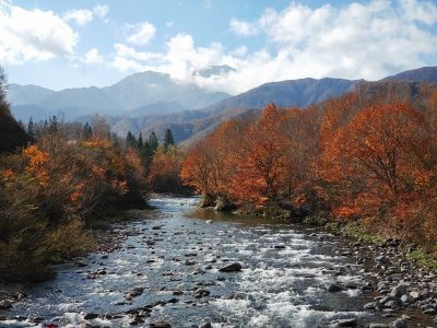 2024.11.3銀山平周辺