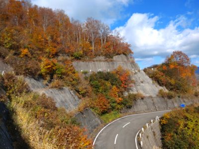 2024.11.3枝折峠