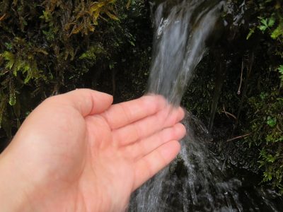 水の回廊　魚沼のやさしい水